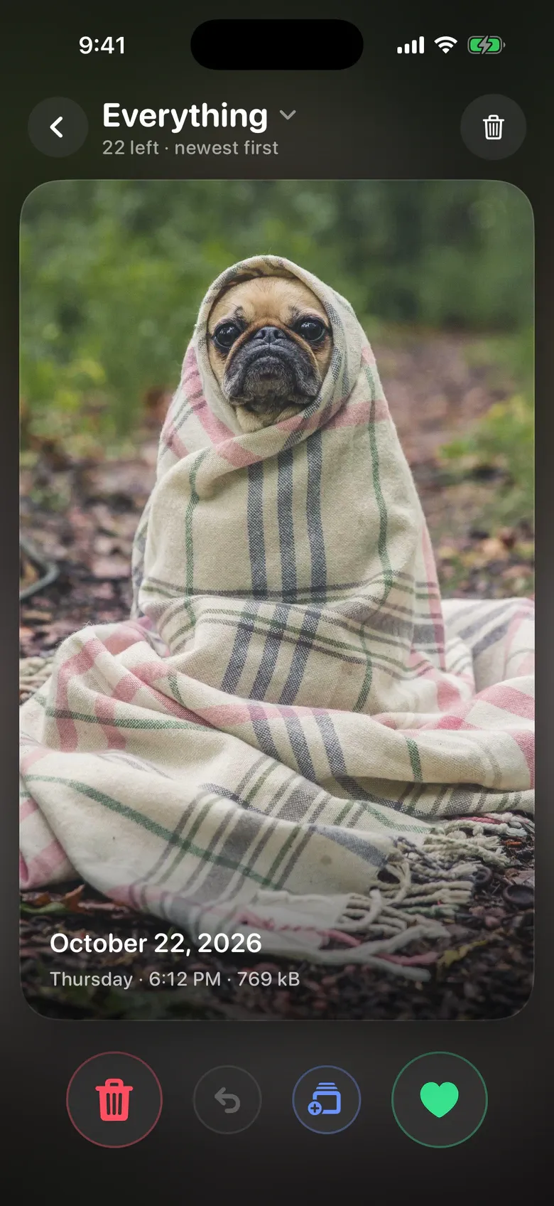 Squeak’s photo deck: a photo of a pug in a blanket, with delete and keep buttons