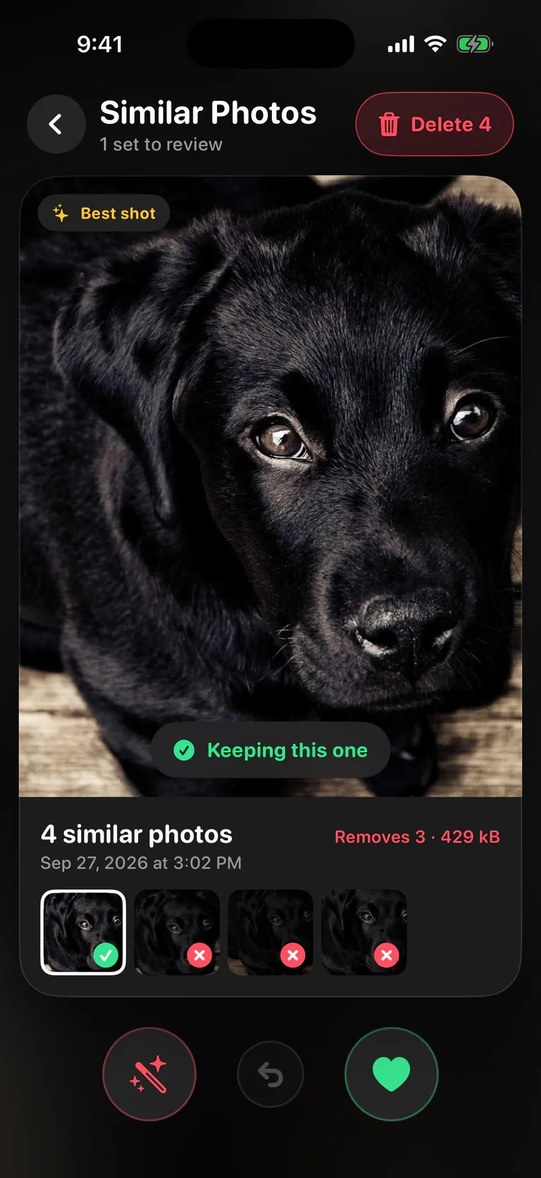 Similar Photos in Squeak: four shots of a puppy, the sharpest marked as the one to keep