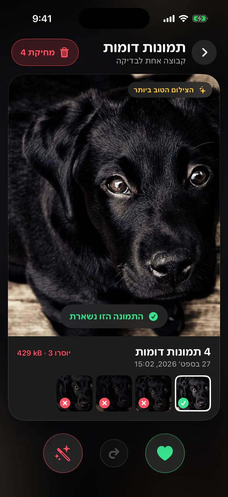 תמונות דומות ב־Squeak: ארבעה צילומים של גור כלבים, והחד ביותר מסומן כזה שנשאר